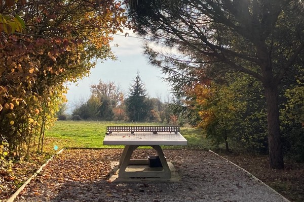 boomhut zuid-frankrijk glamping vakantie