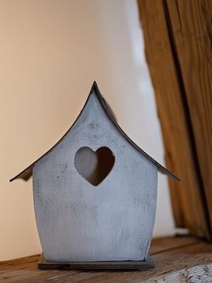 origineel overnachten tiny house