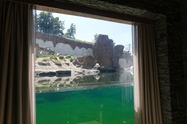 overnachten pairi daiza hotel vakantie kinderen