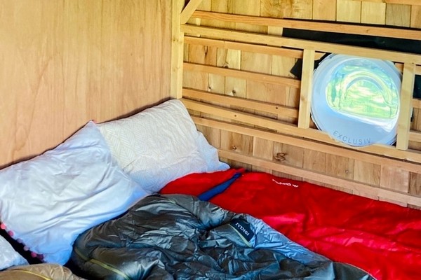 glamping boomhut vakantie belgie overnachten scherpenheuvel