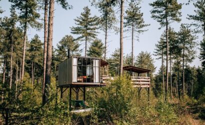 boomhut overnachting belgie glamping