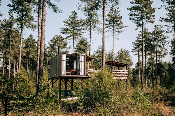boomhut overnachting belgie glamping