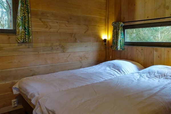 drenthe glamping boomhut nederland