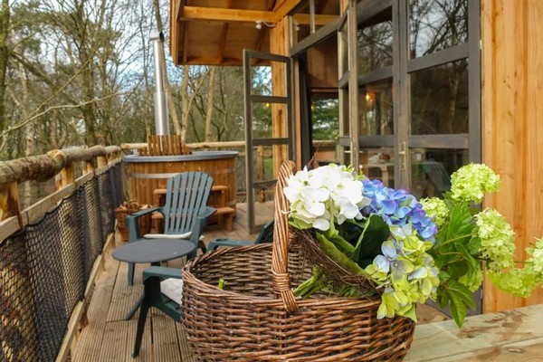drenthe glamping boomhut nederland