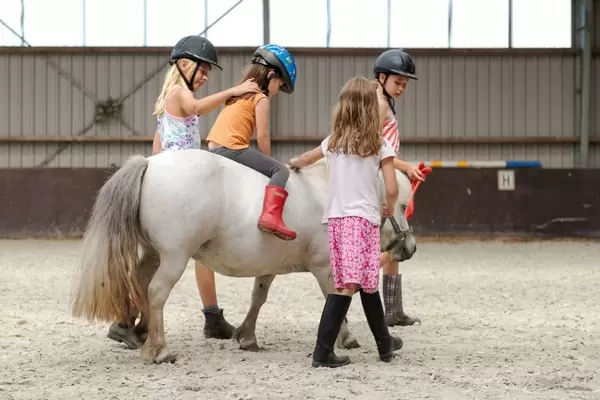 overnachten Nederland paarden boerderij vakantie met kinderen