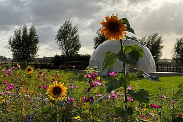 vakantiehuis Middelkerke glamping Belgische kust